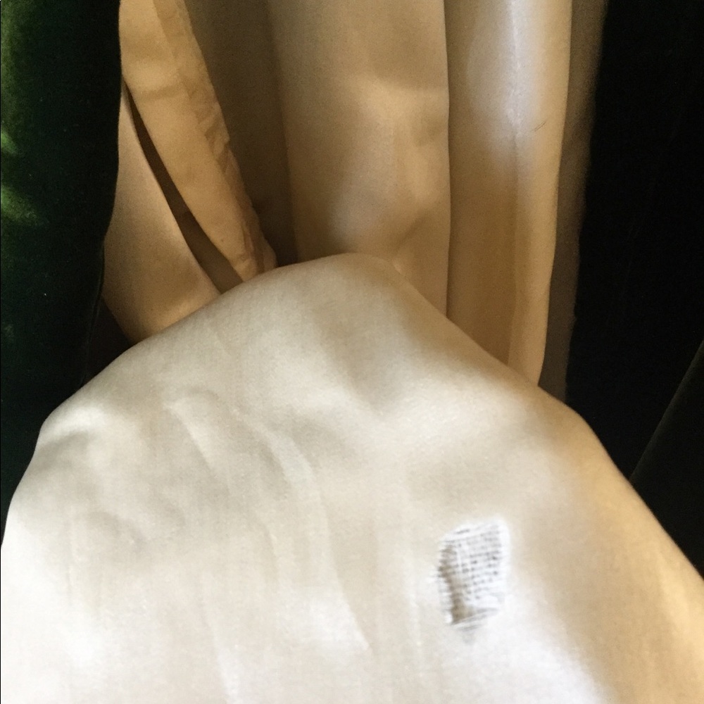 Antique Victorian fur collar green velvet silk coat vintage jacket Edwardian - Picture 11 of 16